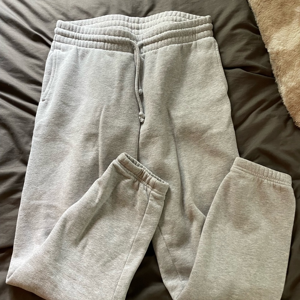 Aritzia TNA sweatpants